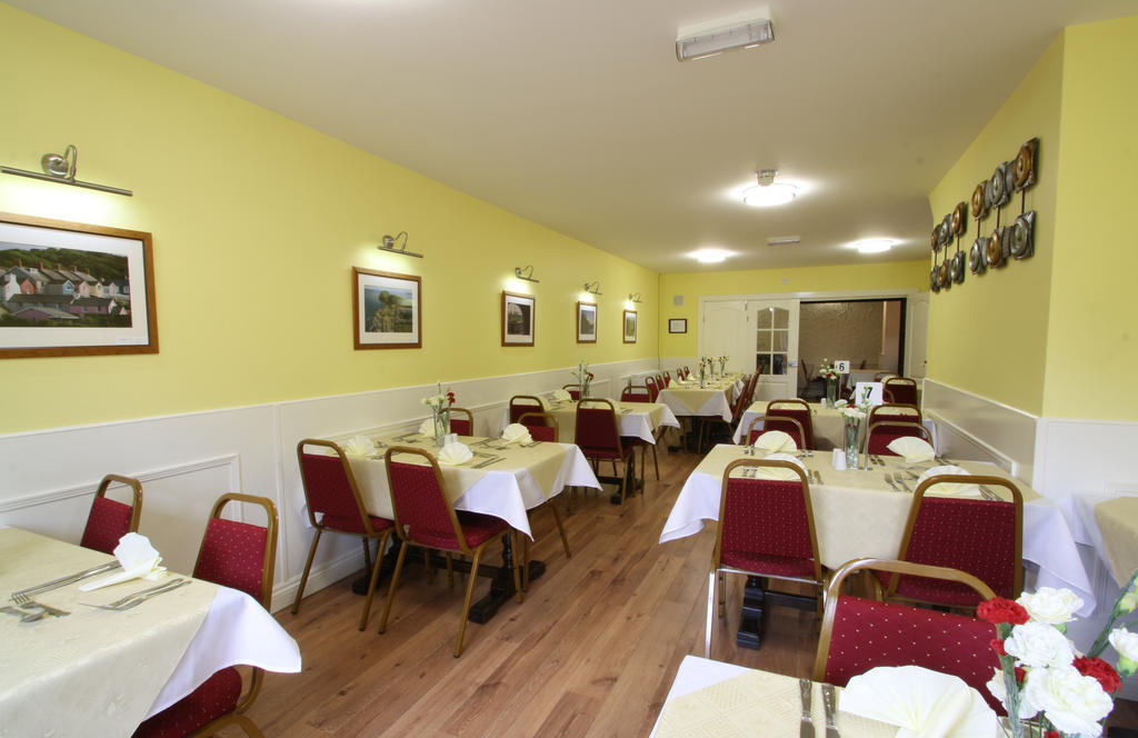 Emlyn Arms Bed & Breakfast Llanarthney Eksteriør bilde