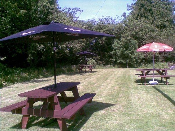 Emlyn Arms Bed & Breakfast Llanarthney Eksteriør bilde