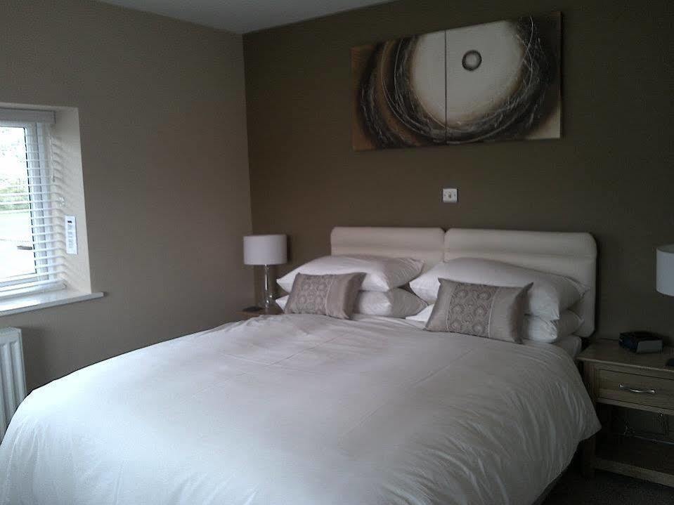 Emlyn Arms Bed & Breakfast Llanarthney Eksteriør bilde